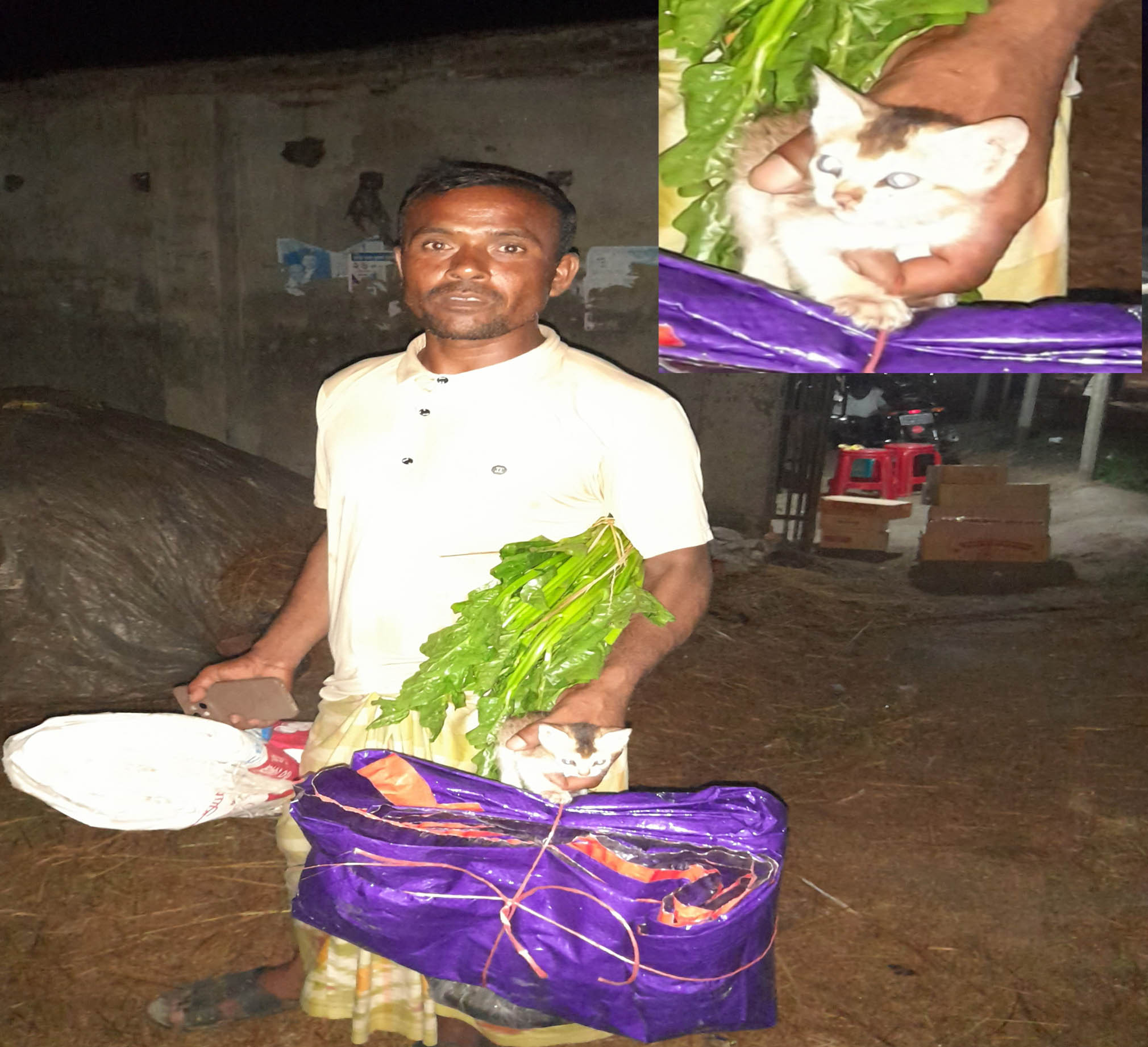 জঙ্গলের ভেতর মিউমিউ করছিল বিড়াল ছানাটি...