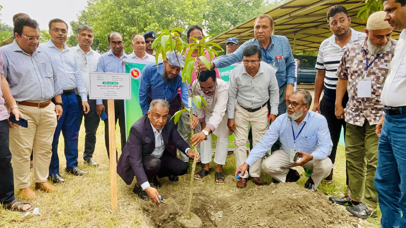 বিএমডিএ’র ৩ কোটি বৃক্ষরোপণ কর্মসূচি শুরু